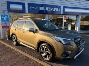 SUBARU FORESTER 2023 (23) at Jeffries Of Bacton Stowmarket