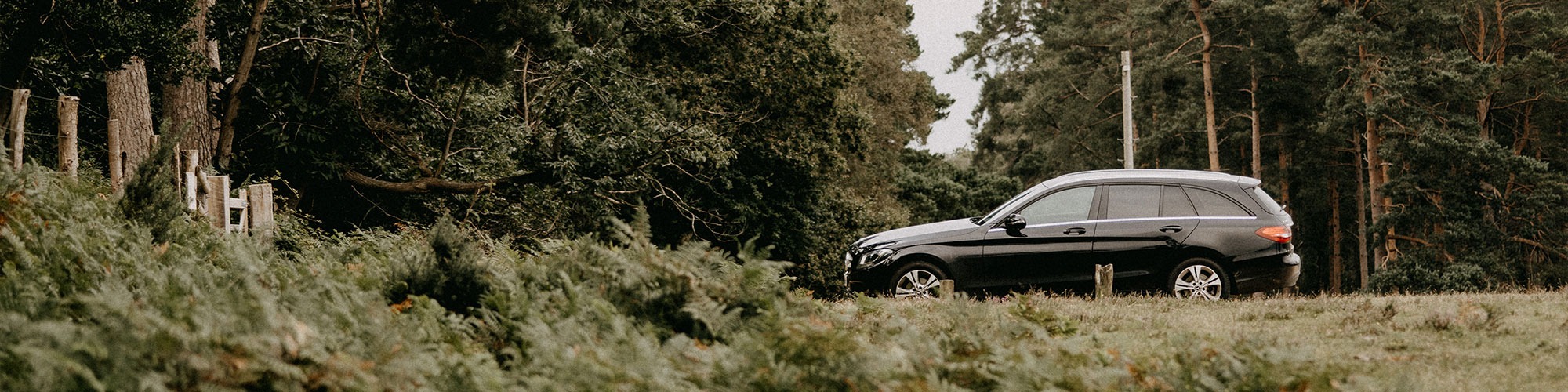 Helping Businesses With Their Fleet and Vehicle Needs